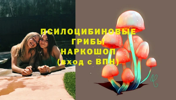 гидра Баксан