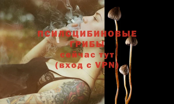 стаф Балабаново