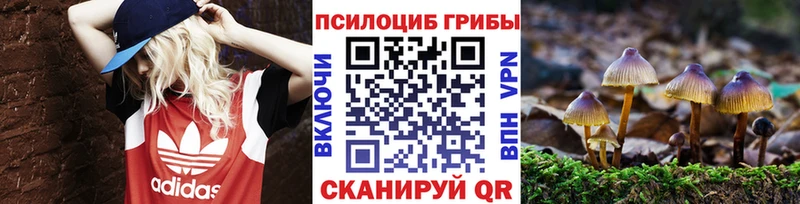 МЕГА ONION  Городовиковск  Псилоцибиновые грибы Magic Shrooms  наркотики 